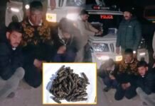 कांगड़ा में चरस तस्करी का भंडाफोड़, तीन आरोपी गिरफ्तार